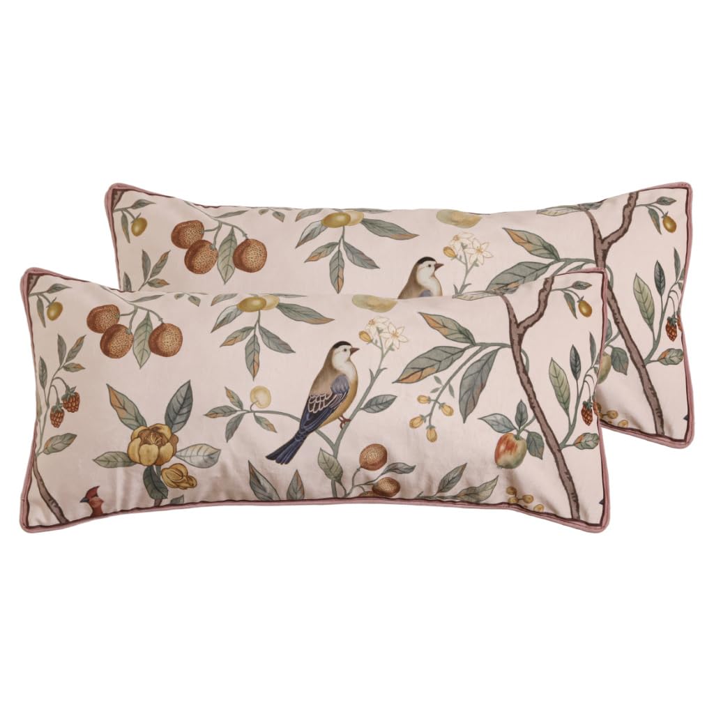 bilin gaier Designer French Square Velvet 18X18 Pillow Cover for Couch Set of 2,Soft and Wrinkle-Free Pillow Case Standard Size,Long Lumbar Throw Pillow Cover Home Decor Sofa Bedroom Living Room