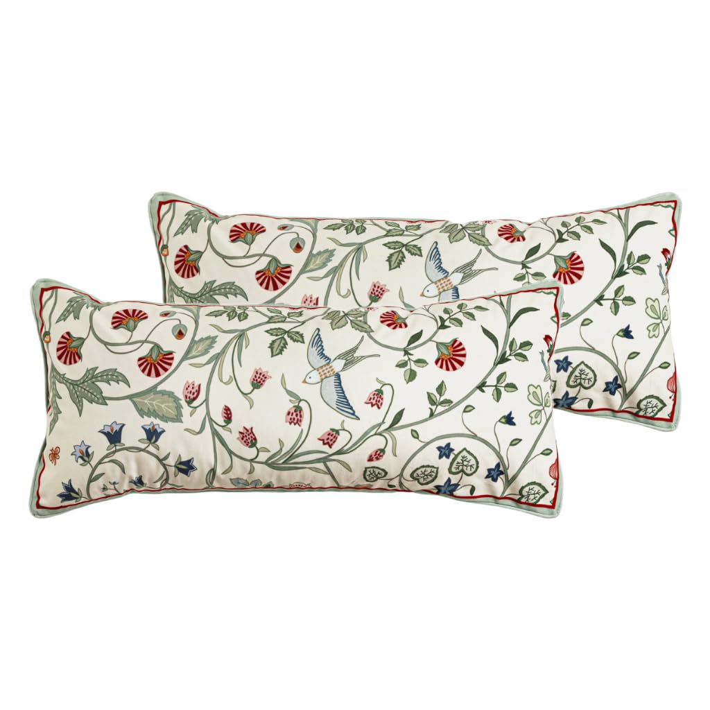 bilin gaier Designer French Square Velvet 18X18 Pillow Cover for Couch Set of 2,Soft and Wrinkle-Free Pillow Case Standard Size,Long Lumbar Throw Pillow Cover Home Decor Sofa Bedroom Living Room