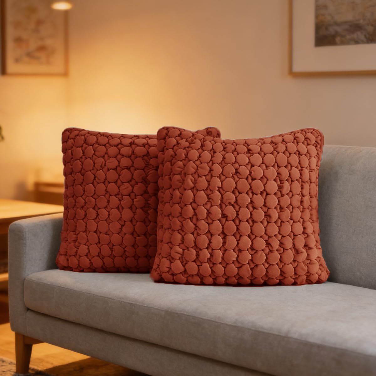 Pillow Covers 24x24 Set of 2 Velvet Euro Shams Decorative Farmhouse Pillowcases Boho Square Cushion Covers Soft Bubble Texture for Couch Sofa Bed Bedroom Car Living Room,Blue