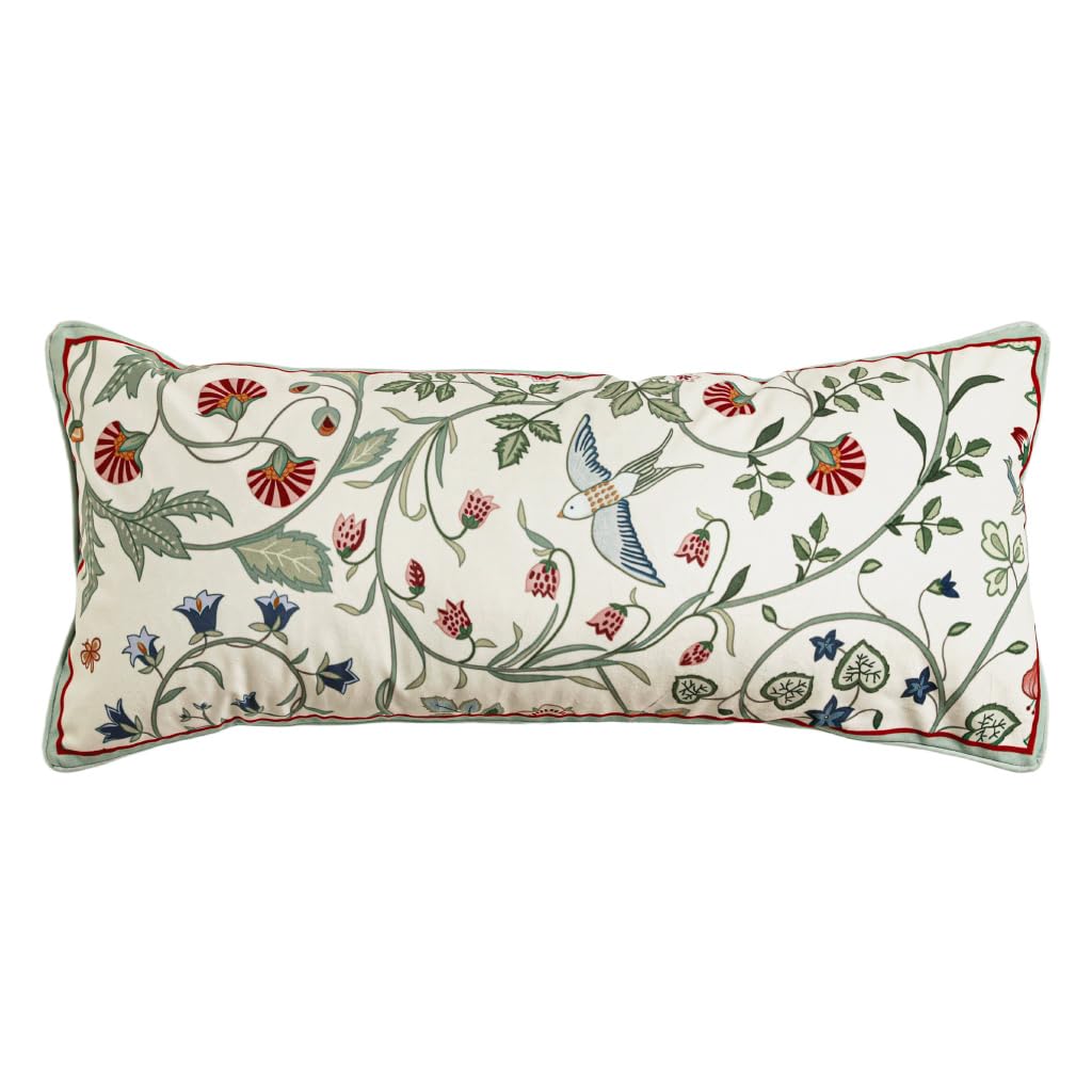 bilin gaier Designer French Square Velvet 18X18 Pillow Cover for Couch Set of 2,Soft and Wrinkle-Free Pillow Case Standard Size,Long Lumbar Throw Pillow Cover Home Decor Sofa Bedroom Living Room