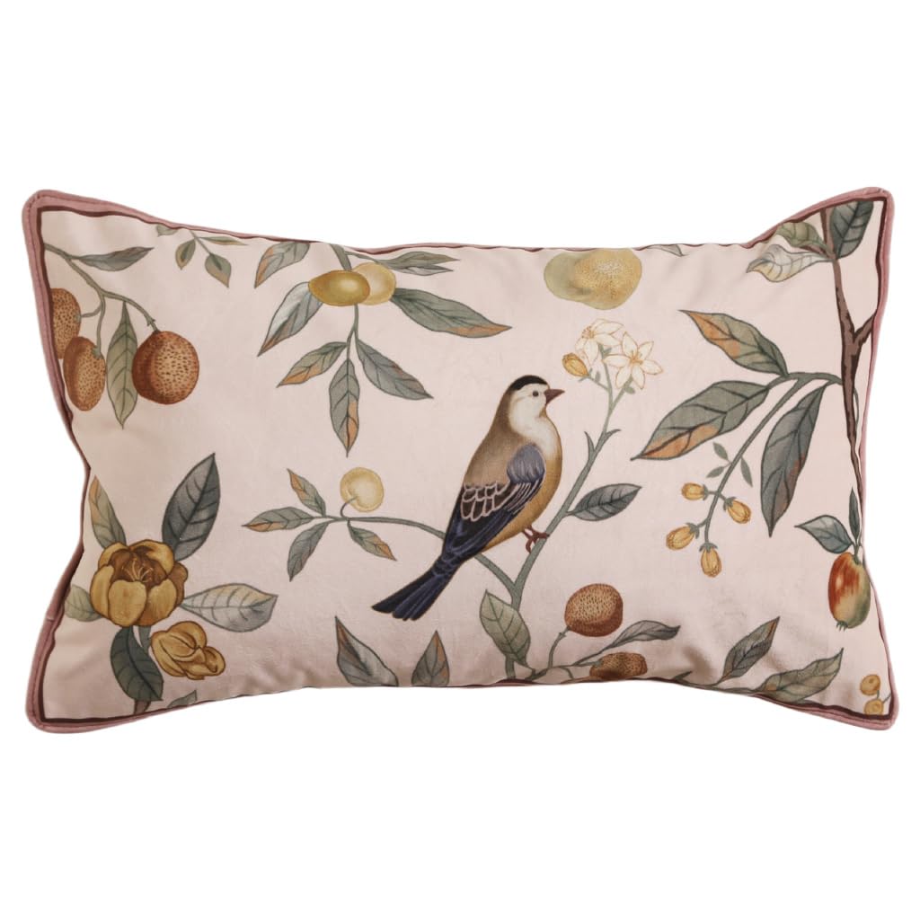 bilin gaier Designer French Square Velvet 18X18 Pillow Cover for Couch Set of 2,Soft and Wrinkle-Free Pillow Case Standard Size,Long Lumbar Throw Pillow Cover Home Decor Sofa Bedroom Living Room