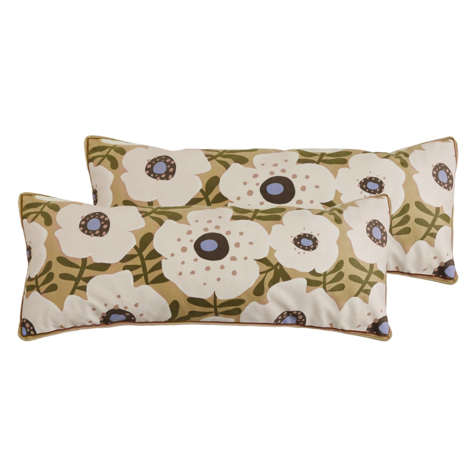 bilin gaier Designer French Square Velvet 18X18 Pillow Cover for Couch Set of 2,Soft and Wrinkle-Free Pillow Case Standard Size,Long Lumbar Throw Pillow Cover Home Decor Sofa Bedroom Living Room