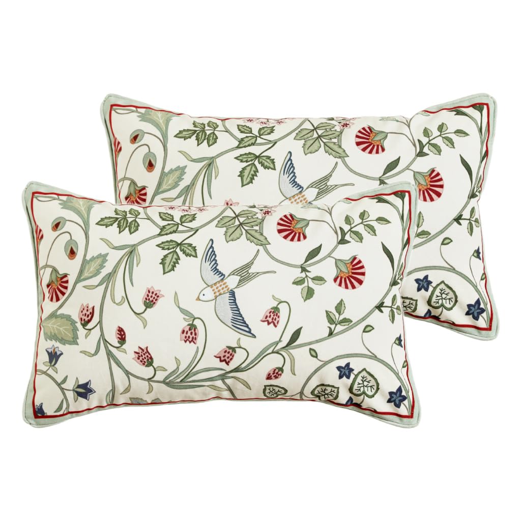 bilin gaier Designer French Square Velvet 18X18 Pillow Cover for Couch Set of 2,Soft and Wrinkle-Free Pillow Case Standard Size,Long Lumbar Throw Pillow Cover Home Decor Sofa Bedroom Living Room