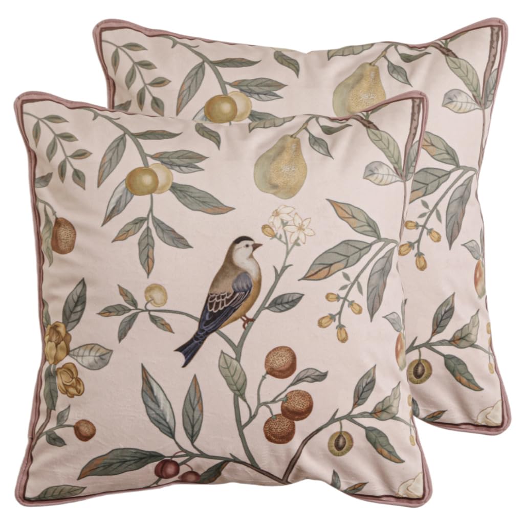 bilin gaier Designer French Square Velvet 18X18 Pillow Cover for Couch Set of 2,Soft and Wrinkle-Free Pillow Case Standard Size,Long Lumbar Throw Pillow Cover Home Decor Sofa Bedroom Living Room