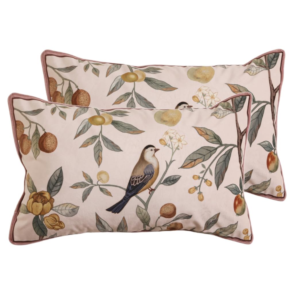 bilin gaier Designer French Square Velvet 18X18 Pillow Cover for Couch Set of 2,Soft and Wrinkle-Free Pillow Case Standard Size,Long Lumbar Throw Pillow Cover Home Decor Sofa Bedroom Living Room
