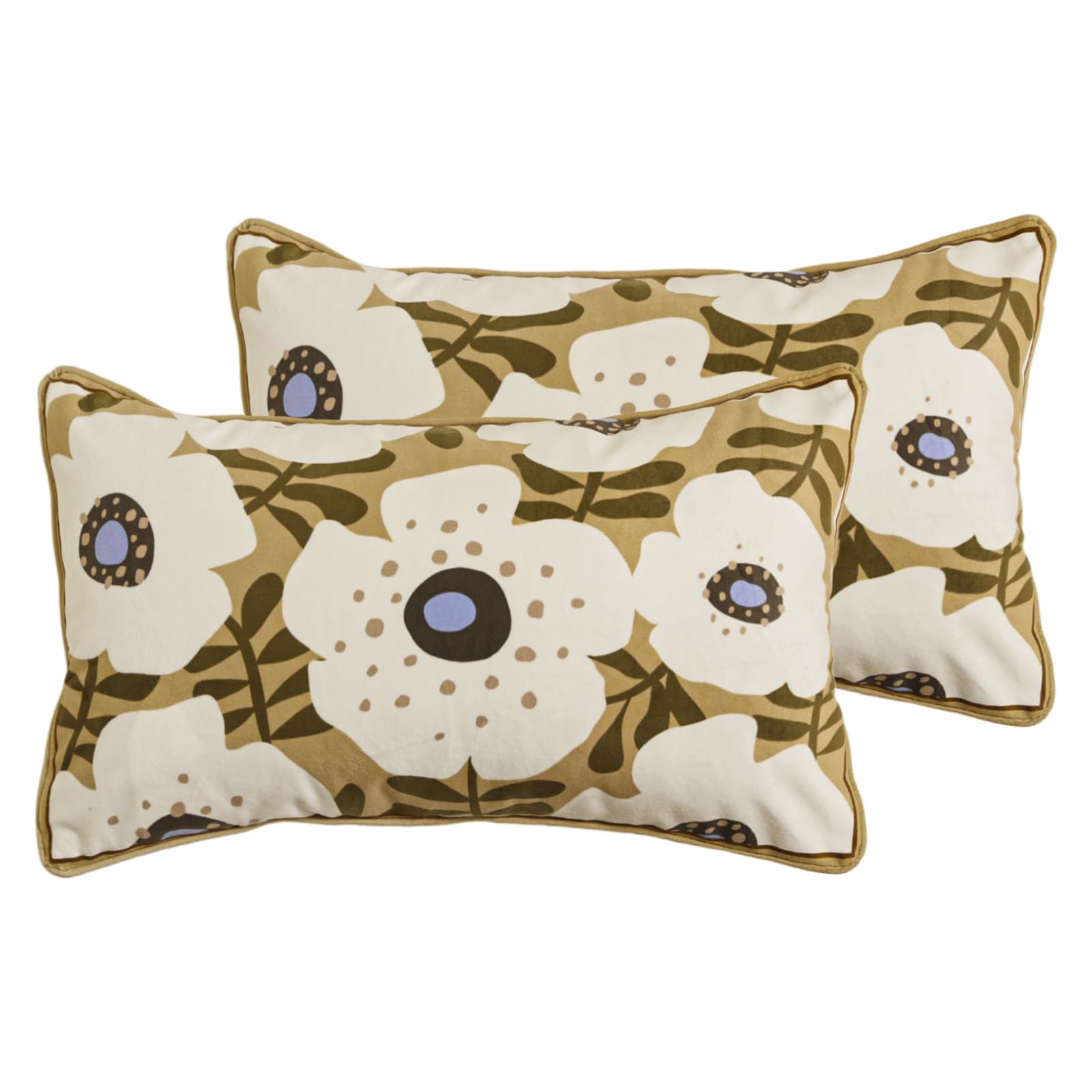 bilin gaier Designer French Square Velvet 18X18 Pillow Cover for Couch Set of 2,Soft and Wrinkle-Free Pillow Case Standard Size,Long Lumbar Throw Pillow Cover Home Decor Sofa Bedroom Living Room
