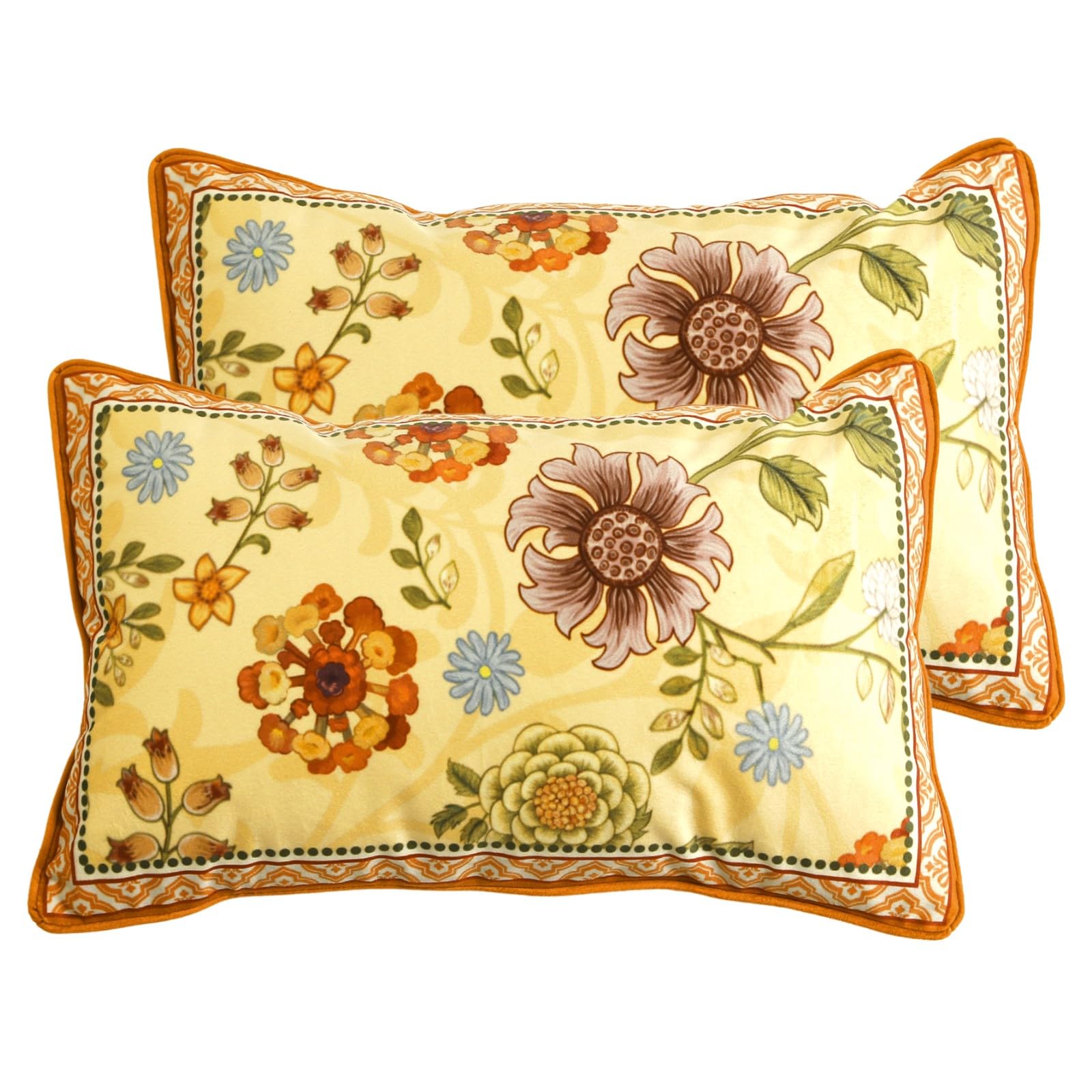 bilin gaier Designer French Square Velvet 18X18 Pillow Cover for Couch Set of 2,Soft and Wrinkle-Free Pillow Case Standard Size,Long Lumbar Throw Pillow Cover Home Decor Sofa Bedroom Living Room
