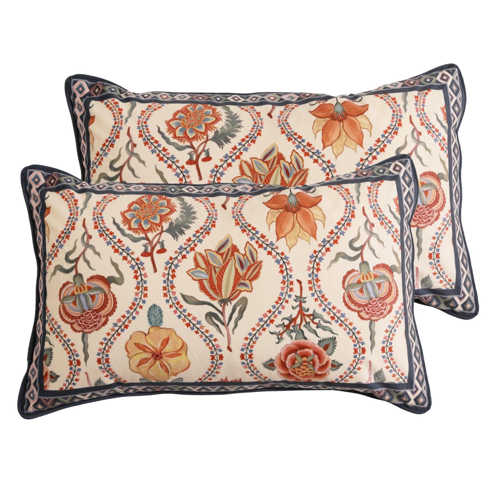 bilin gaier Designer French Square Velvet 18X18 Pillow Cover for Couch Set of 2,Soft and Wrinkle-Free Pillow Case Standard Size,Long Lumbar Throw Pillow Cover Home Decor Sofa Bedroom Living Room