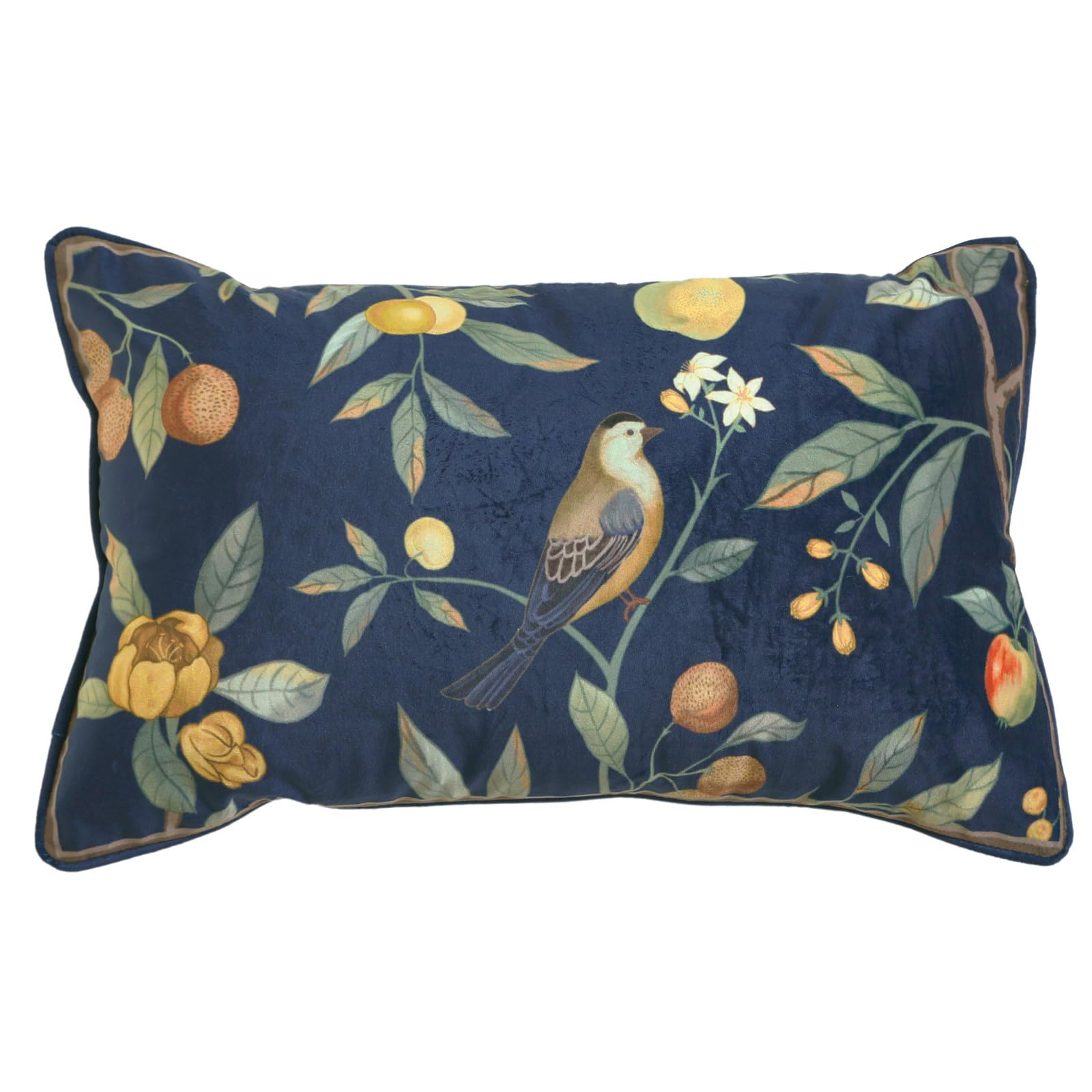 bilin gaier Designer French Square Velvet 18X18 Pillow Cover for Couch Set of 2,Soft and Wrinkle-Free Pillow Case Standard Size,Long Lumbar Throw Pillow Cover Home Decor Sofa Bedroom Living Room