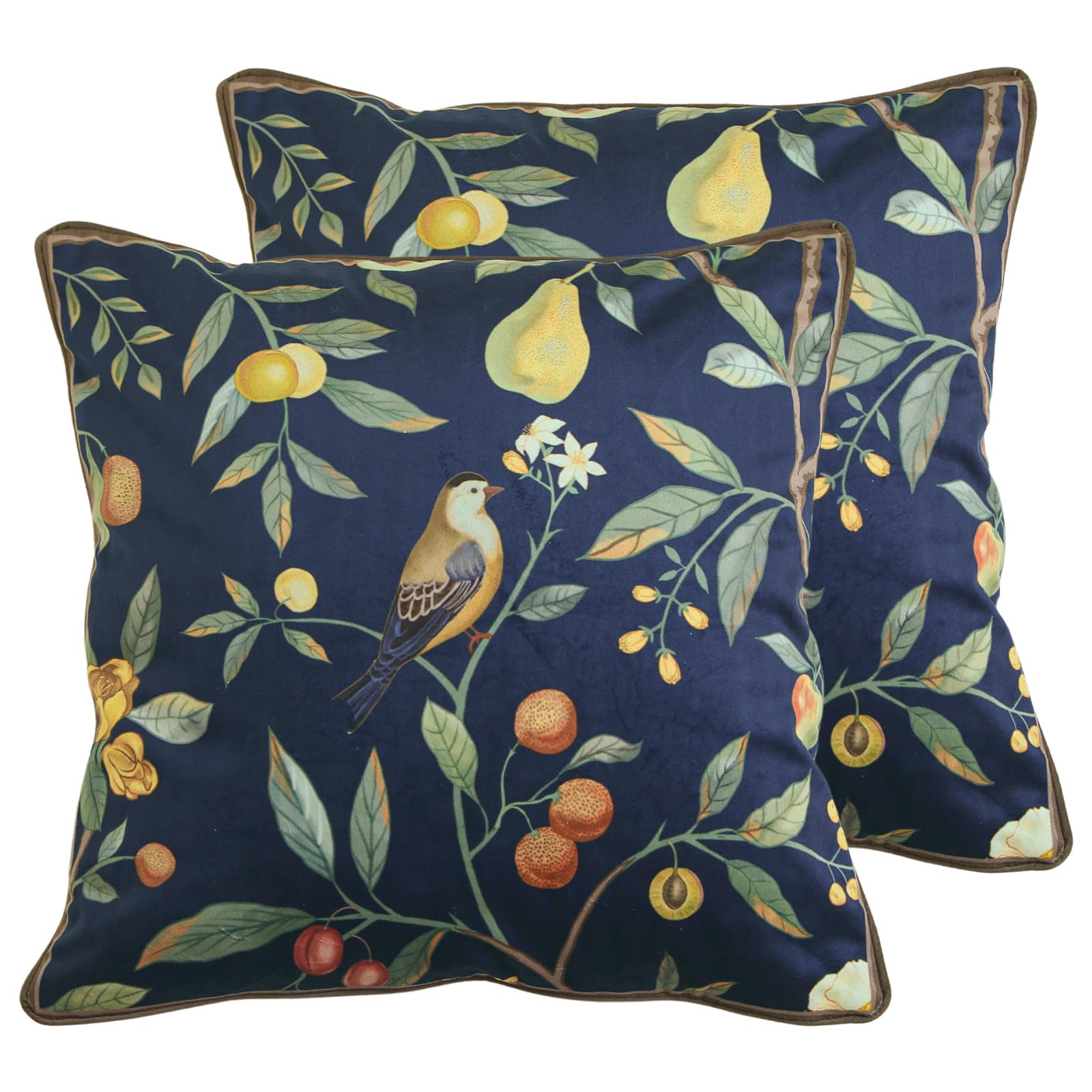 bilin gaier Designer French Square Velvet 18X18 Pillow Cover for Couch Set of 2,Soft and Wrinkle-Free Pillow Case Standard Size,Long Lumbar Throw Pillow Cover Home Decor Sofa Bedroom Living Room