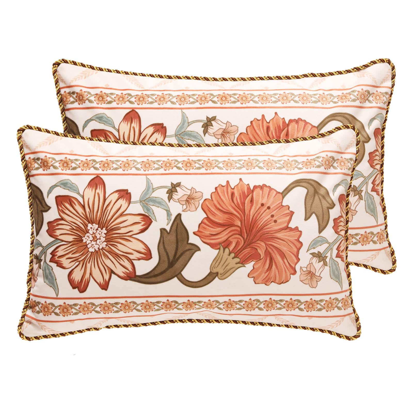 bilin gaier Designer French Square Velvet 18X18 Pillow Cover for Couch Set of 2,Soft and Wrinkle-Free Pillow Case Standard Size,Long Lumbar Throw Pillow Cover Home Decor Sofa Bedroom Living Room