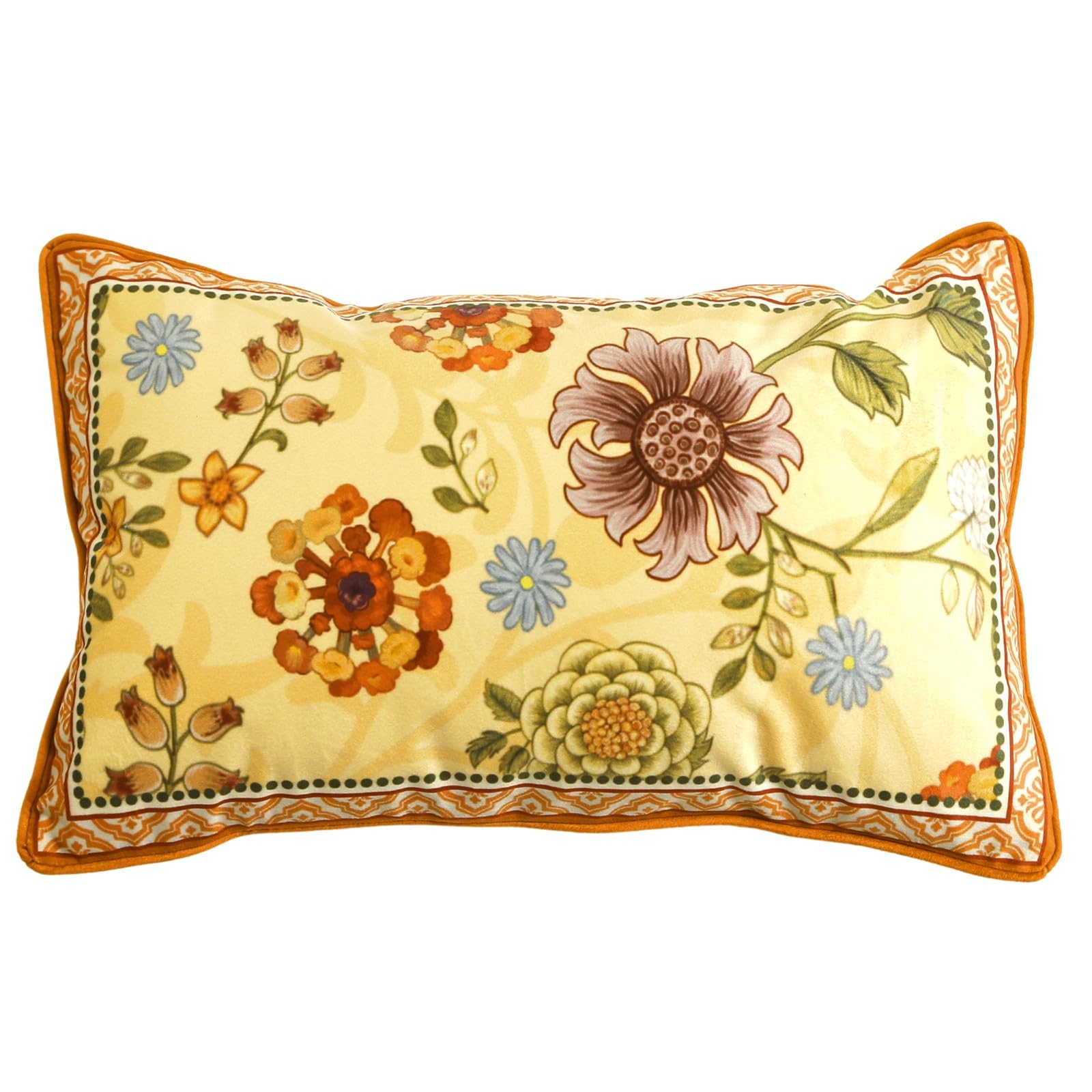 bilin gaier Designer French Square Velvet 18X18 Pillow Cover for Couch Set of 2,Soft and Wrinkle-Free Pillow Case Standard Size,Long Lumbar Throw Pillow Cover Home Decor Sofa Bedroom Living Room