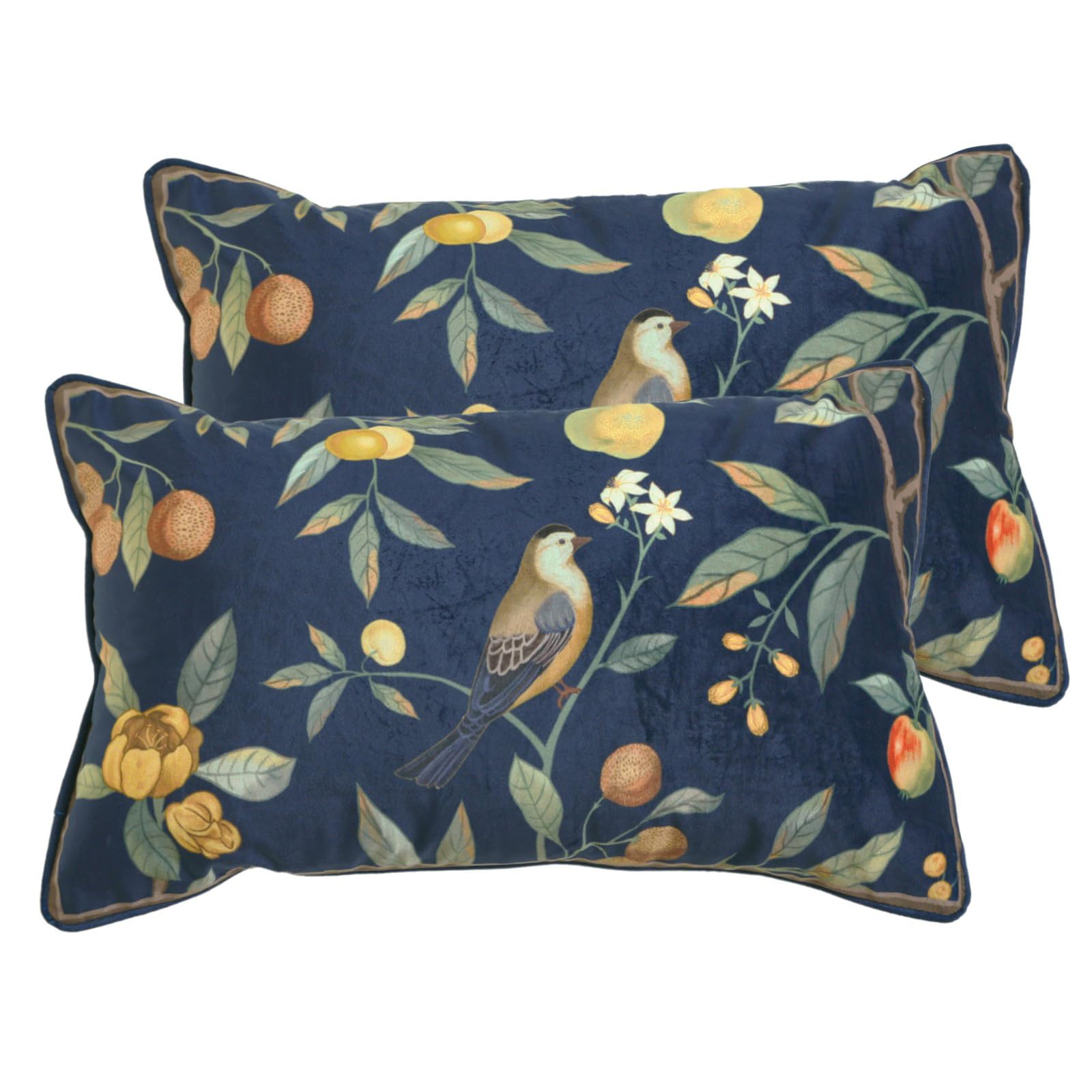 bilin gaier Designer French Square Velvet 18X18 Pillow Cover for Couch Set of 2,Soft and Wrinkle-Free Pillow Case Standard Size,Long Lumbar Throw Pillow Cover Home Decor Sofa Bedroom Living Room
