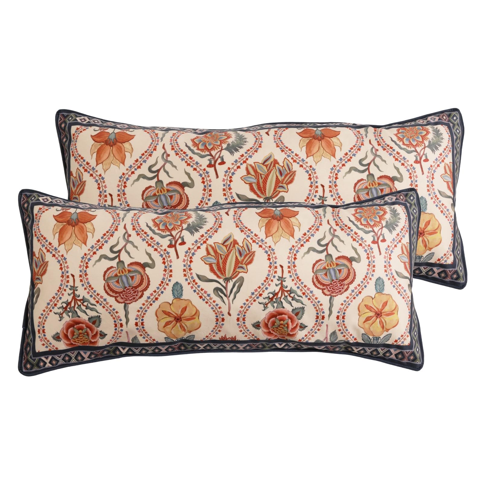 bilin gaier Designer French Square Velvet 18X18 Pillow Cover for Couch Set of 2,Soft and Wrinkle-Free Pillow Case Standard Size,Long Lumbar Throw Pillow Cover Home Decor Sofa Bedroom Living Room