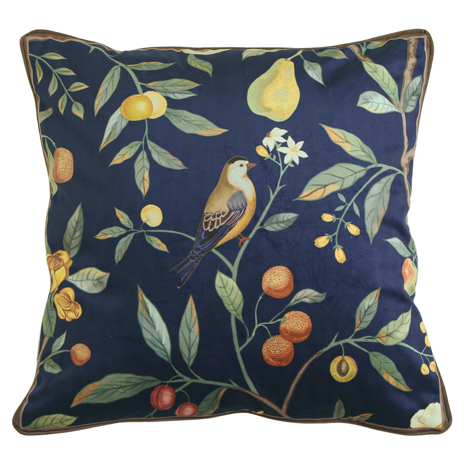 bilin gaier Designer French Square Velvet 18X18 Pillow Cover for Couch Set of 2,Soft and Wrinkle-Free Pillow Case Standard Size,Long Lumbar Throw Pillow Cover Home Decor Sofa Bedroom Living Room