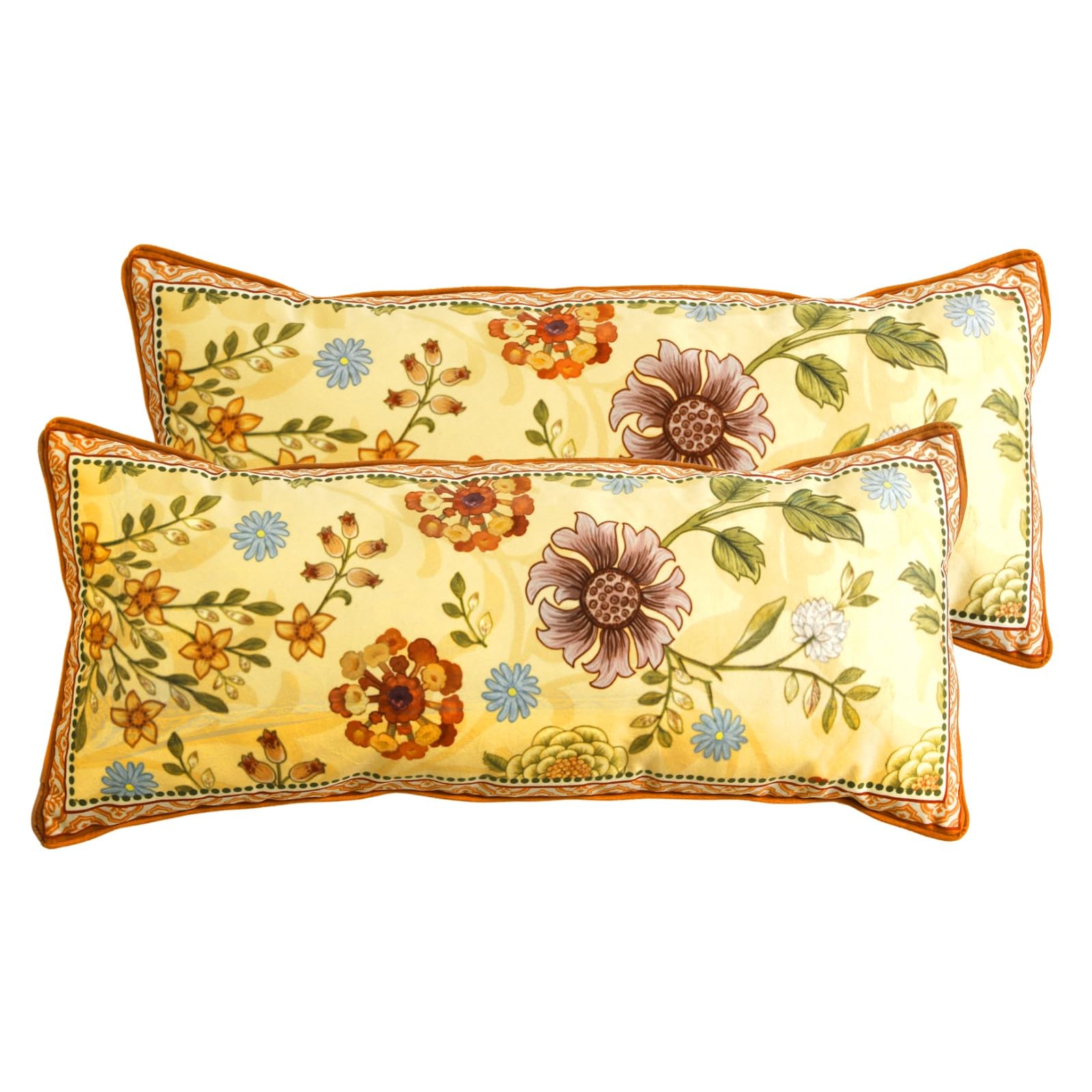 bilin gaier Designer French Square Velvet 18X18 Pillow Cover for Couch Set of 2,Soft and Wrinkle-Free Pillow Case Standard Size,Long Lumbar Throw Pillow Cover Home Decor Sofa Bedroom Living Room