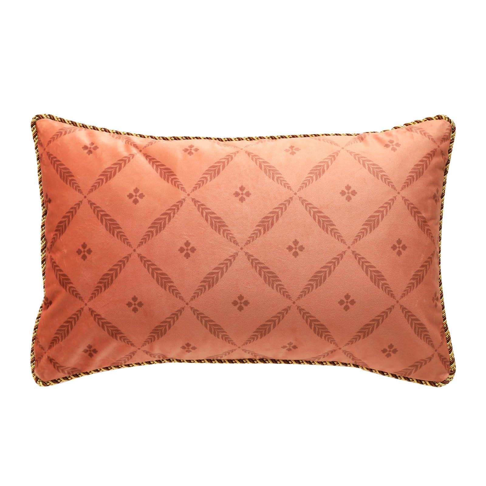 bilin gaier Designer French Square Velvet 18X18 Pillow Cover for Couch Set of 2,Soft and Wrinkle-Free Pillow Case Standard Size,Long Lumbar Throw Pillow Cover Home Decor Sofa Bedroom Living Room