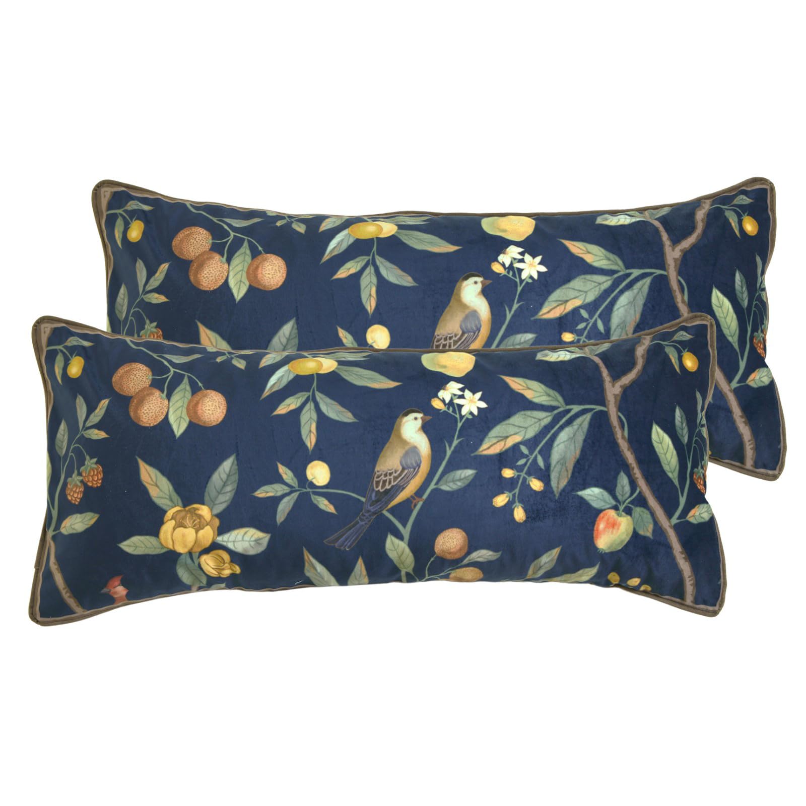 bilin gaier Designer French Square Velvet 18X18 Pillow Cover for Couch Set of 2,Soft and Wrinkle-Free Pillow Case Standard Size,Long Lumbar Throw Pillow Cover Home Decor Sofa Bedroom Living Room