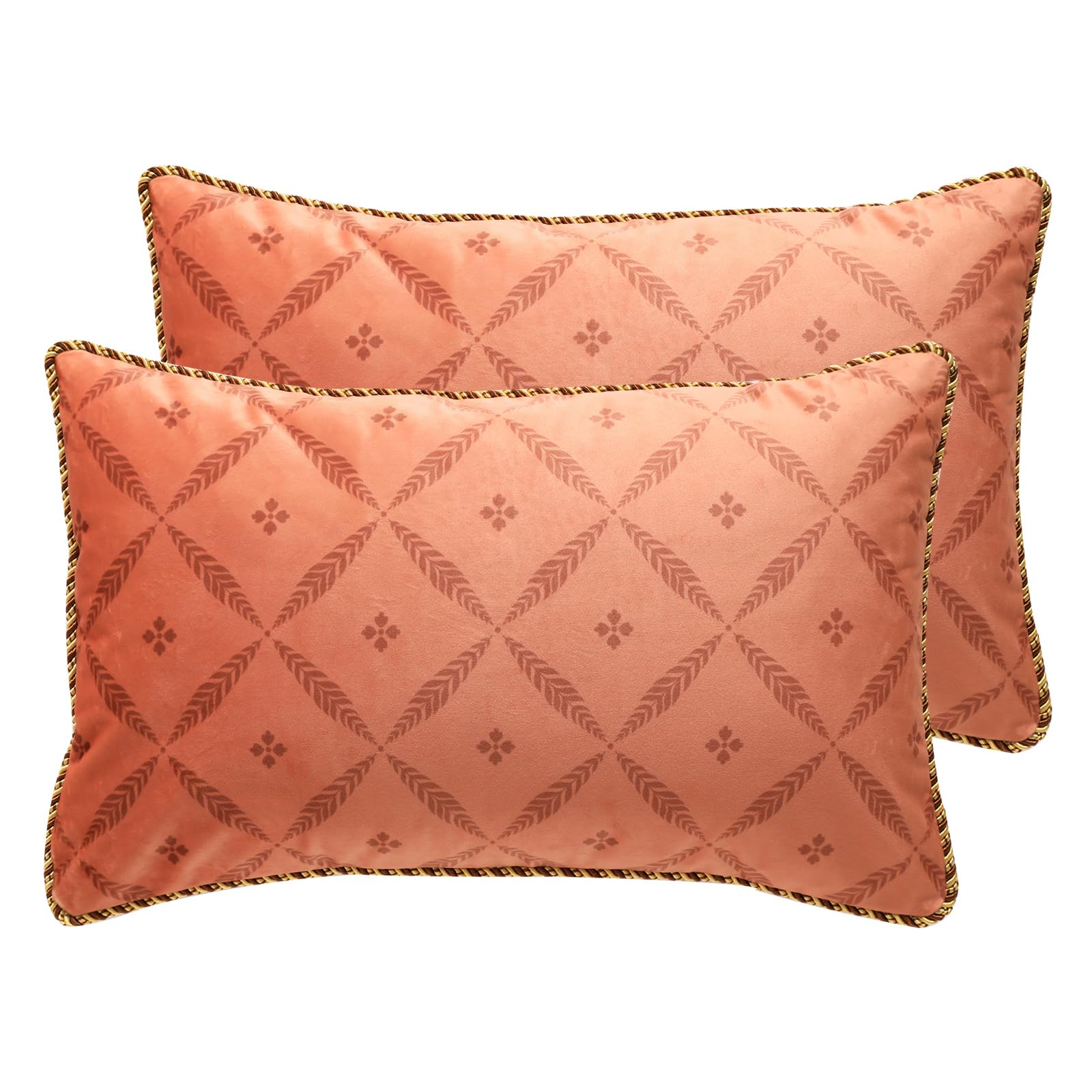 bilin gaier Designer French Square Velvet 18X18 Pillow Cover for Couch Set of 2,Soft and Wrinkle-Free Pillow Case Standard Size,Long Lumbar Throw Pillow Cover Home Decor Sofa Bedroom Living Room