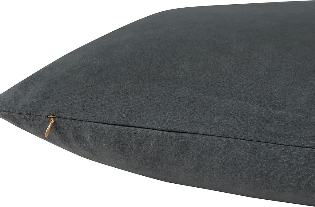 Pack of 1 Velvet Decorative Throw Pillow Cover 20x20 Inches, Cushion Cover Set for Home Sofa, Couch, Bedroom, Living Room, Soft and Breathable Fabric, Hidden Zipper (Dark Grey, 20" x 20")