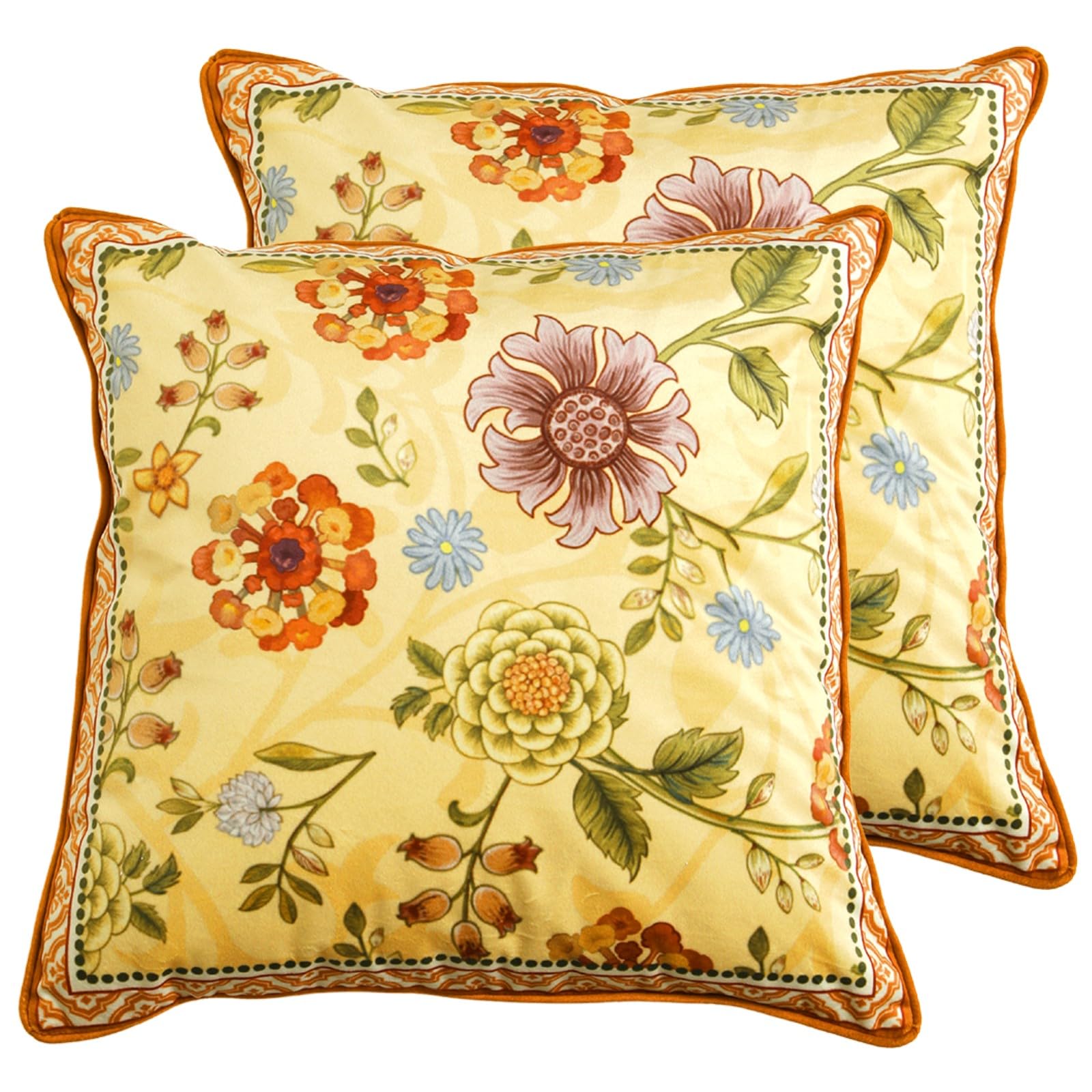 bilin gaier Designer French Square Velvet 18X18 Pillow Cover for Couch Set of 2,Soft and Wrinkle-Free Pillow Case Standard Size,Long Lumbar Throw Pillow Cover Home Decor Sofa Bedroom Living Room