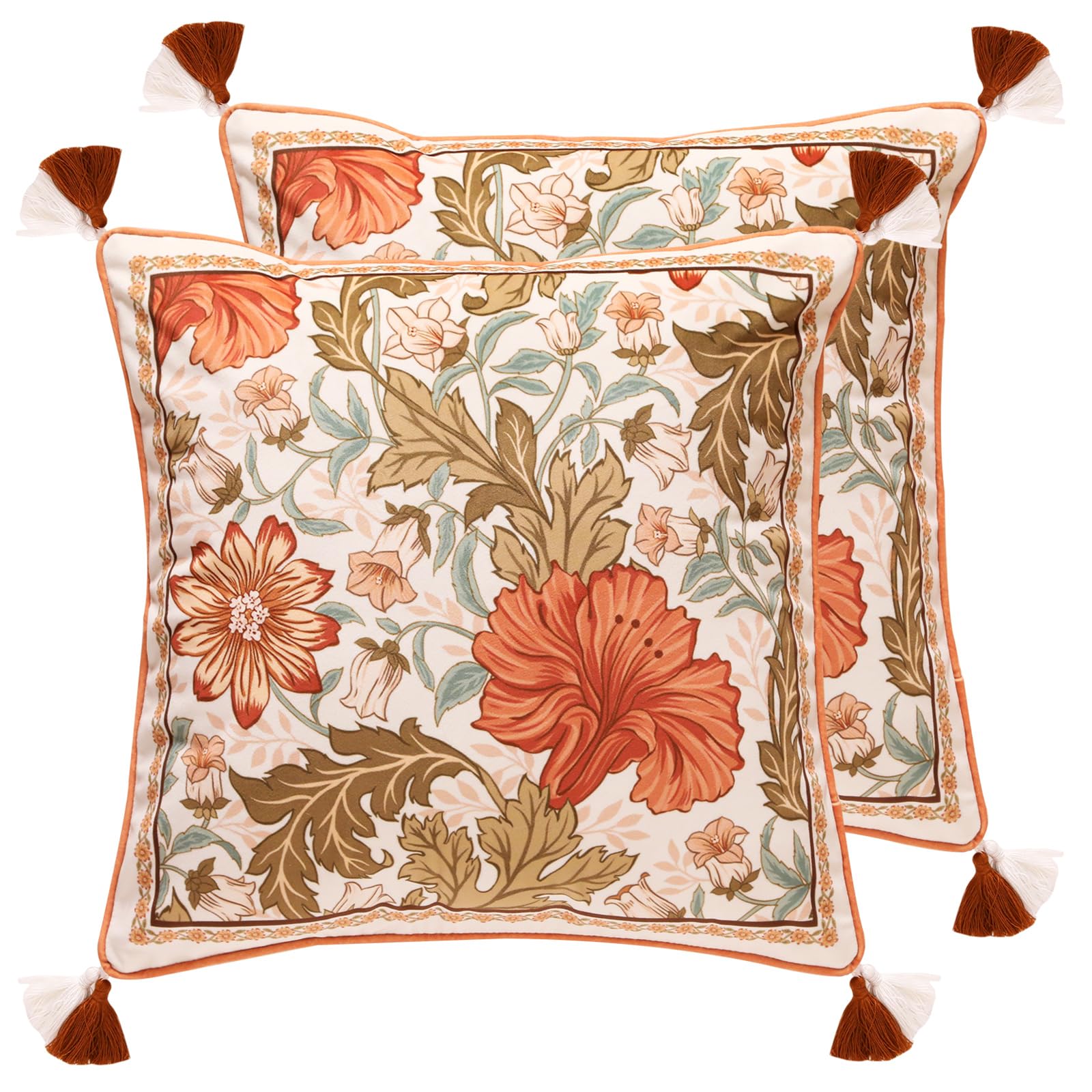 bilin gaier Designer French Square Velvet 18X18 Pillow Cover for Couch Set of 2,Soft and Wrinkle-Free Pillow Case Standard Size,Long Lumbar Throw Pillow Cover Home Decor Sofa Bedroom Living Room