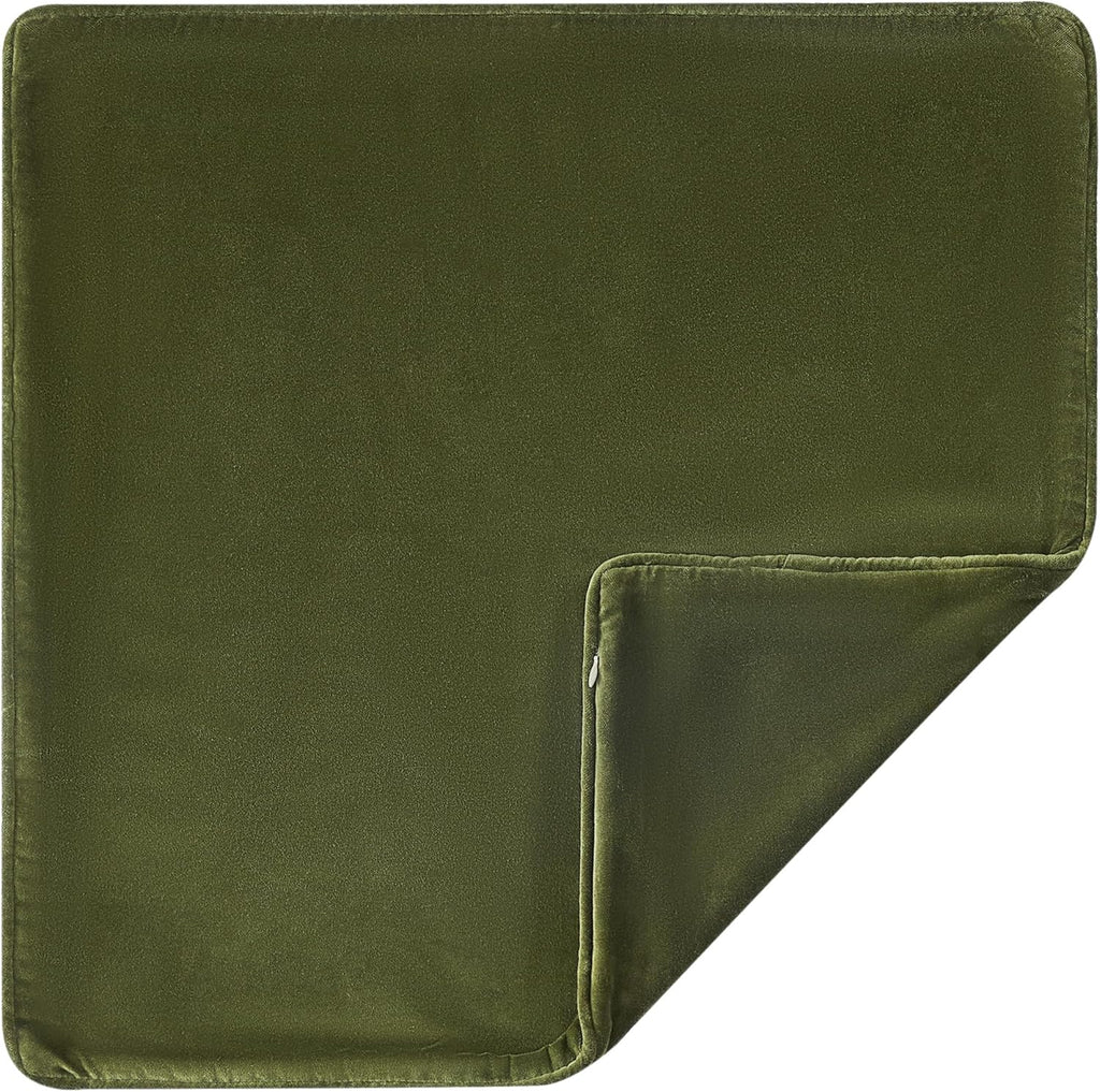 Lush Decor x Chuks Collins Terran Velvet Decorative Pillow Cover Single 22" W x 22" L Green - 22x22 Pillow Cover - Velvet Throw Pillows for Bed, Couch or Chair - Luxury Home Decor