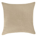 Pack of 1 Velvet Decorative Throw Pillow Cover 20x20 Inches, Cushion Cover Set for Home Sofa, Couch, Bedroom, Living Room, Soft and Breathable Fabric, Hidden Zipper (Dark Grey, 20" x 20")