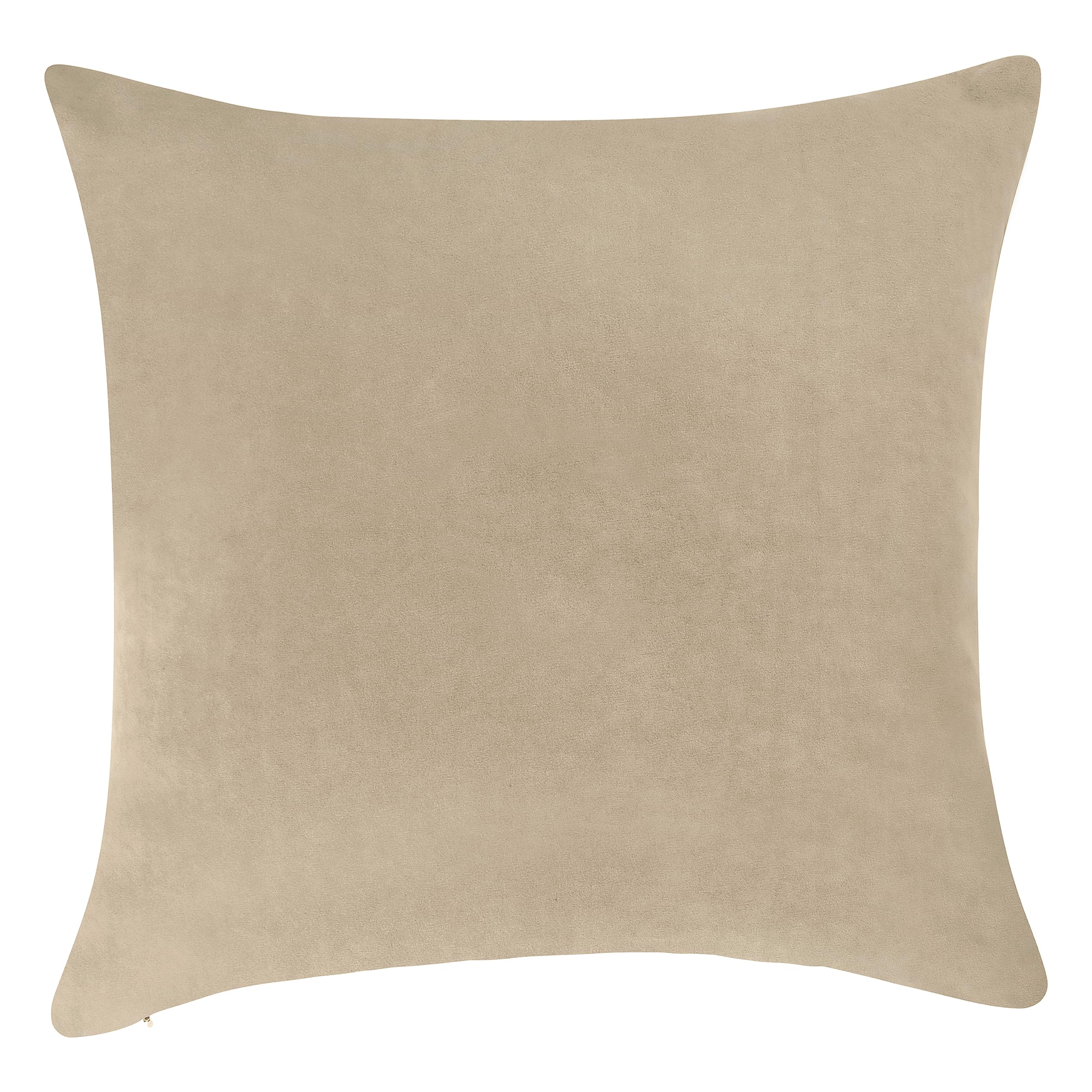 Pack of 1 Velvet Decorative Throw Pillow Cover 20x20 Inches, Cushion Cover Set for Home Sofa, Couch, Bedroom, Living Room, Soft and Breathable Fabric, Hidden Zipper (Dark Grey, 20" x 20")