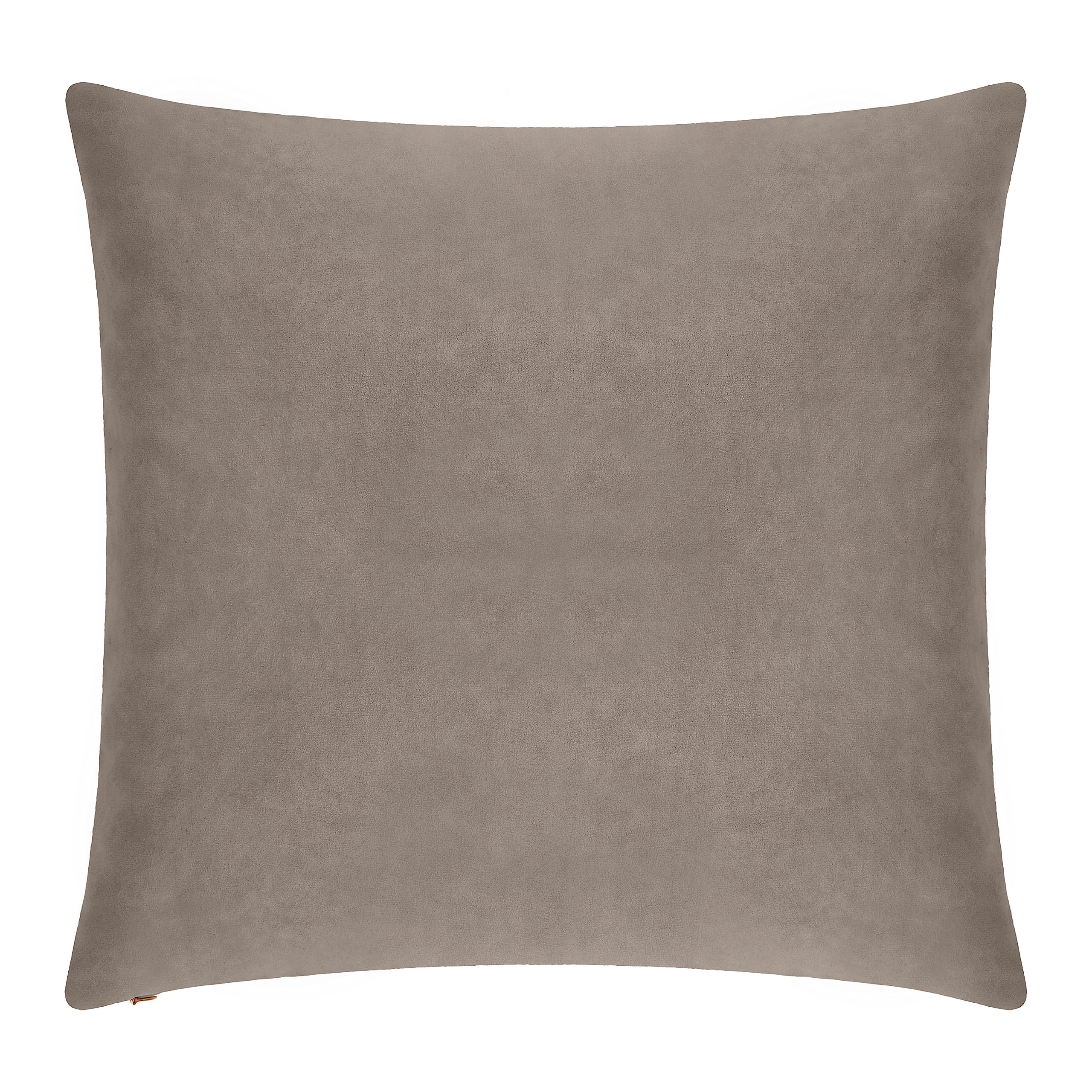 Pack of 1 Velvet Decorative Throw Pillow Cover 20x20 Inches, Cushion Cover Set for Home Sofa, Couch, Bedroom, Living Room, Soft and Breathable Fabric, Hidden Zipper (Dark Grey, 20" x 20")